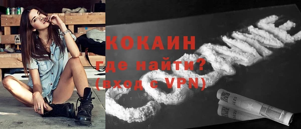 apvp Богородицк