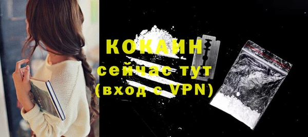apvp Богородицк