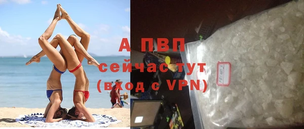 apvp Богородицк