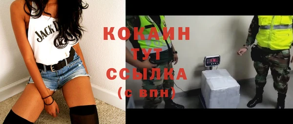 apvp Богородицк