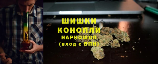 apvp Богородицк