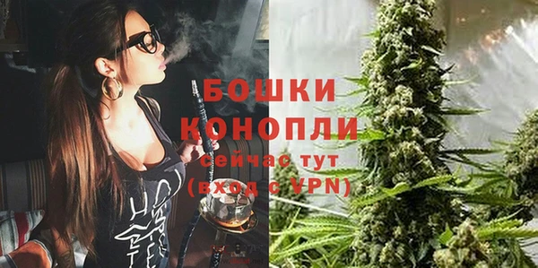 мескалин Богданович