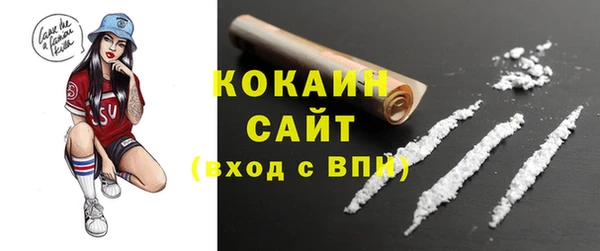 apvp Богородицк
