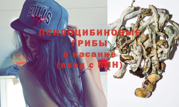 apvp Богородицк