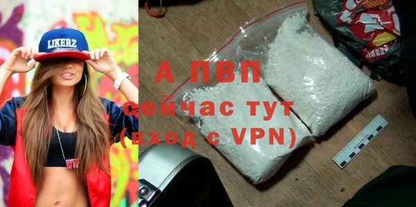 apvp Богородицк