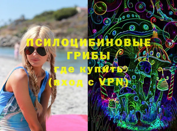 apvp Богородицк