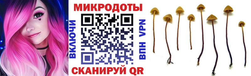 Псилоцибиновые грибы мухоморы Сретенск